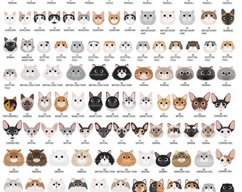 Cat face digital clip art for Personal and Commercial use - INSTANT DOWNLOAD