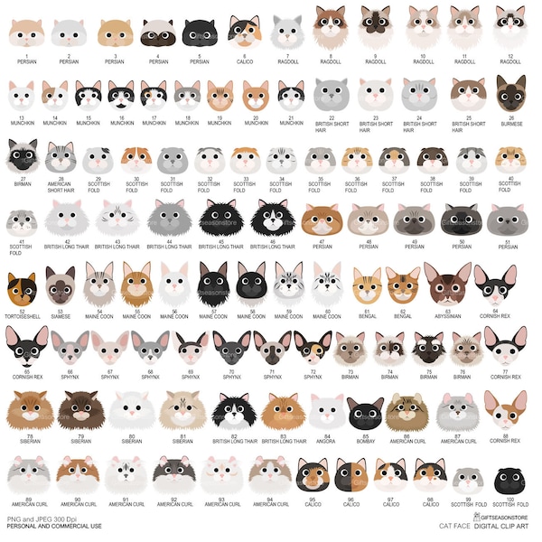 Cat face digital clip art for Personal and Commercial use - INSTANT DOWNLOAD
