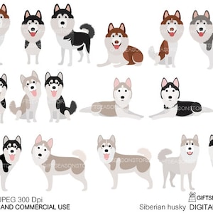 Siberian husky dogs digital clip art for Personal and Commercial use - INSTANT DOWNLOAD