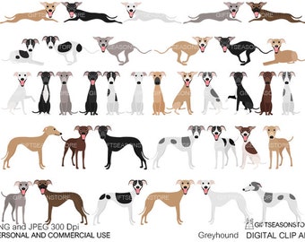 Greyhound dog Digital clip art for Personal and Commercial use - INSTANT DOWNLOAD