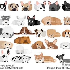 眠っている犬のデジタルクリップアートパート1（個人および商用利用可） - 即時ダウンロード
