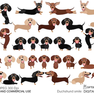 Dachshund smile Digital clip art for Personal and Commercial use - INSTANT DOWNLOAD