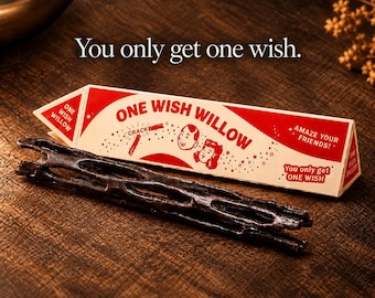 One Wish Willow Stick With Box, Handmade Obsession-Inspired Prop Replica, Wish-Making Snap Stick, Creepy Gift，Horror Movie Collectible,