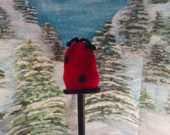 Lady bug hat