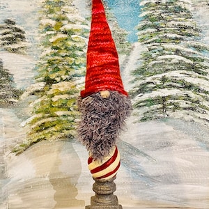 Felted hat gnome (Jac)