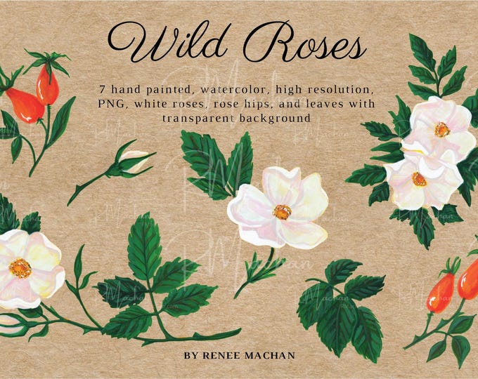 Watercolour Wild Roses This item is unavailable - Etsy
