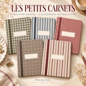 Puede incluir: Cinco cuadernos rectangulares con varios patrones, incluyendo cuadros vichy verdes, rayas azules, lunares rosas, cuadrícula marrón y rayas rojas. Cada cuaderno tiene una banda elástica vertical y una etiqueta blanca rectangular en la portada.