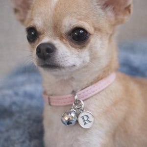 Pet collar initial charms with bell, cat bell, small dog charm,  dog bell, pet accessories, Collar charms, Soft sound Pet bells, Pet jewelry