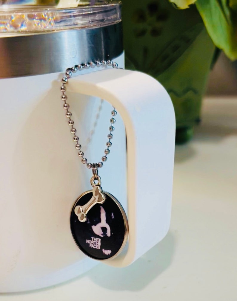May include: A silver chain necklace with a round pendant featuring a black and white dog silhouette and a bone charm. The pendant has the text "THE NORTH FACE" printed on it.
