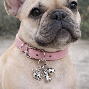 Miniature Pet Charms and bells, Dog and cat collar charms, Princess pet accessory, Kitten gift, Puppy gift, Dog collar jewelry, Cat bells
