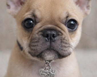Dog collar charms, Jewelry for dogs, Jewelry for cats, Charms for cat collar, I love my dog collar charm, Princess crown collar charm
