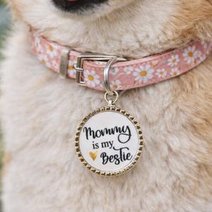 May include: A dog wearing a pink collar patterned with white daisies. The collar has a silver buckle and a round tag with the text "Mommy is my Bestie". The tag has a gold rim and a gold heart symbol.