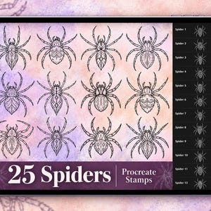 Spider Procreate Stamp Set 1 - 25 Spider Arachnid Bug Insect Brush Stamps | Tattoo Designs | Procreate Digital Brush Pack