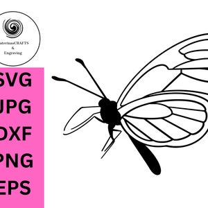 Cute simple Moth SVG, Insect jpg, Moth Clipart, Celestial moth dxf, Boho moth, Night moth png, Luna moth eps, Cut file for Cricut Silhouette