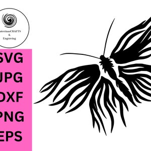 Cute simple Moth SVG, Insect jpg, Moth Clipart, Celestial moth dxf, Boho moth, Night moth png, Luna moth eps, Cut file for Cricut Silhouette