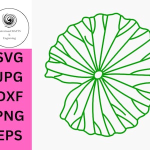 nenúfar svg para Cricut e Silhouette, Animal Svg, nenúfar svg, folha Svg, Lily pad svg, Contorno de nenúfar, clip art de nenúfar
