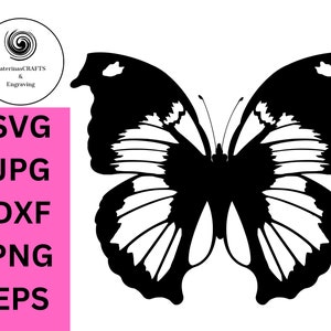 Papillon SVG, naturel, original, dessiné à la main, téléchargement numérique pour gravure laser, vinyle, travaux manuels en papier, machines de découpe, conception par sublimation