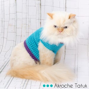 Pattern only Cat sweater pattern by Akroche Tatuk english and french. image 2