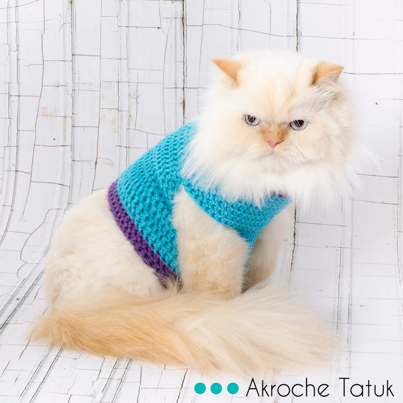 Pattern only Cat sweater pattern by Akroche Tatuk english and french. image 2