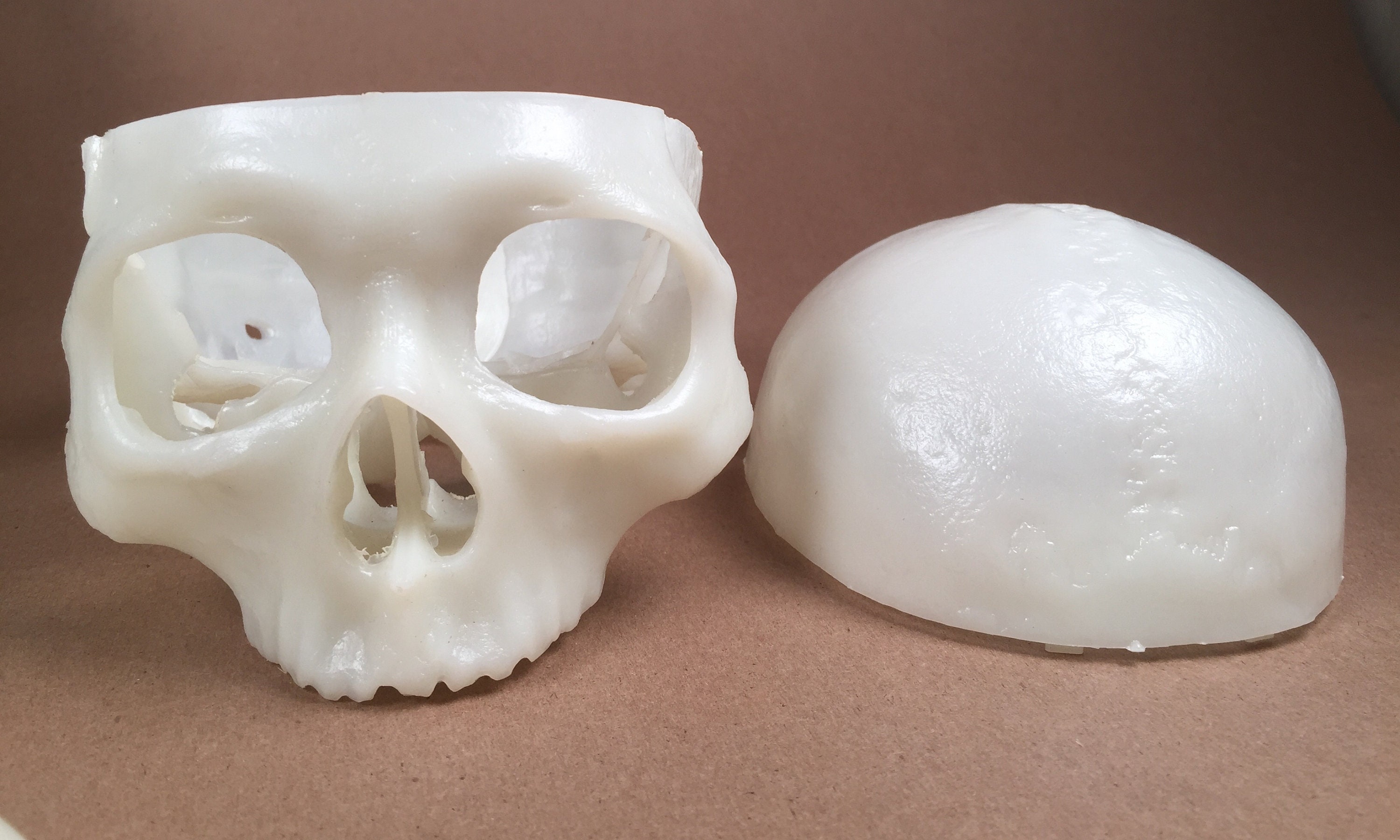 Human Skull Model Kit by Revell 1:1 Scale - Etsy Singapore