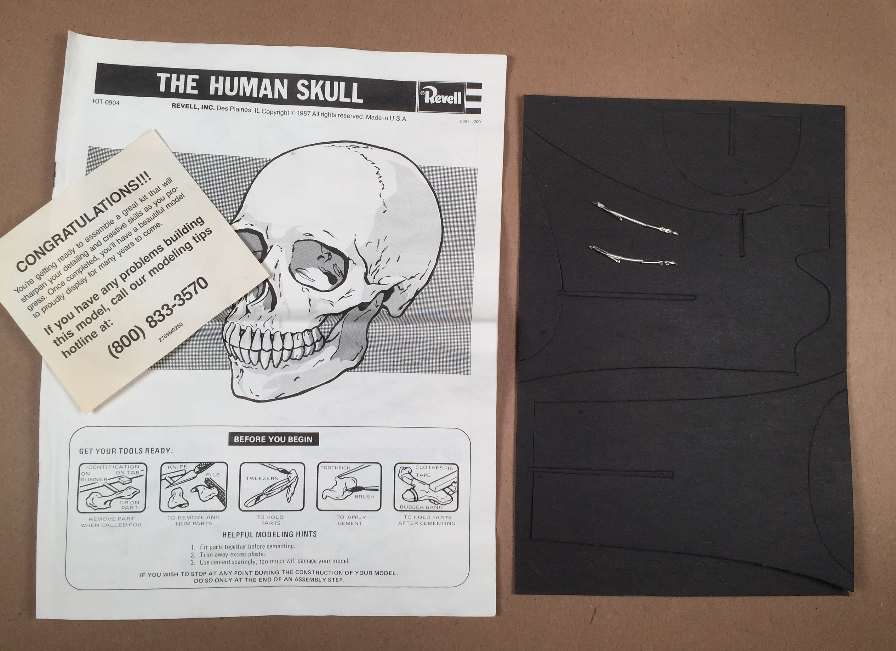 Human Skull Model Kit by Revell 1:1 Scale - Etsy Singapore
