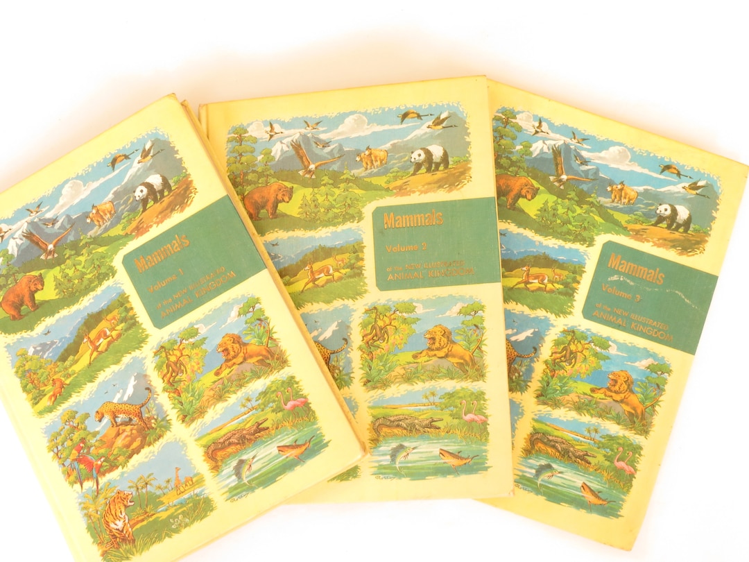 Vintage Animal Kingdom Book Set 1950s Animal Kingdom Book Set Vintage Illustrated Encyclopedia