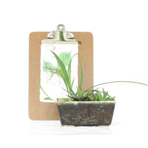 May include: A small green plant in a brown ceramic planter with a decorative design. The plant is sitting in front of a brown clipboard with a white paper inside.