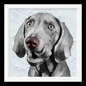May include: An oil painting of a Weimaraner dog with grey fur, light blue eyes, and a dark brown nose. The dog is licking its lips, captured in a thick impasto style with visible brushstrokes against a textured white background in a white frame.