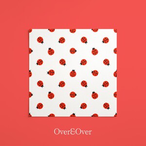 Puede incluir: Una hoja cuadrada blanca con un patrón repetitivo de pequeñas mariquitas rojas con puntos negros. Las mariquitas están orientadas en varias direcciones sobre la superficie. Debajo de la hoja, el texto Over&Over está impreso en una fuente serif blanca.