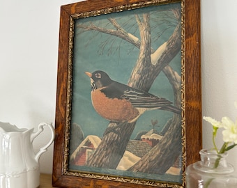 Vintage lithografie van een Amerikaanse roodborst in houten lijst