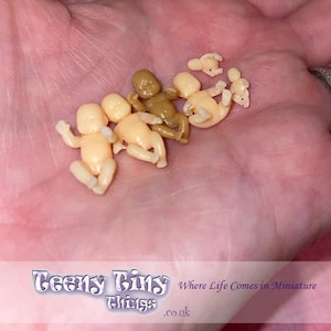 Puede incluir: Cinco muñecas bebés en miniatura, cuatro son de color beige claro y una es marrón, todas están tumbadas en una mano. Las muñecas miden aproximadamente 2,5 cm de alto. El texto "Teeny Tiny Things .co.uk" es visible en la parte inferior de la imagen.  Where Life Comes in Miniature.