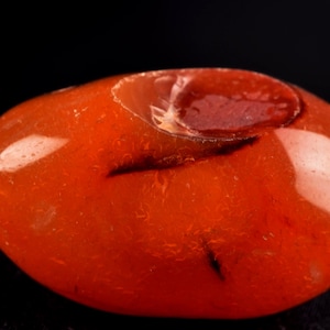 May include: A polished, orange-red gemstone with a smooth, rounded shape. The stone has a glossy surface with a small, recessed area on top. The gemstone is set against a black background.