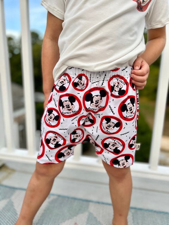 Disney Mickey Mouse and Minnie Mouse Briefs for Women Briefs Soft