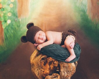 Baby Bear Photography set