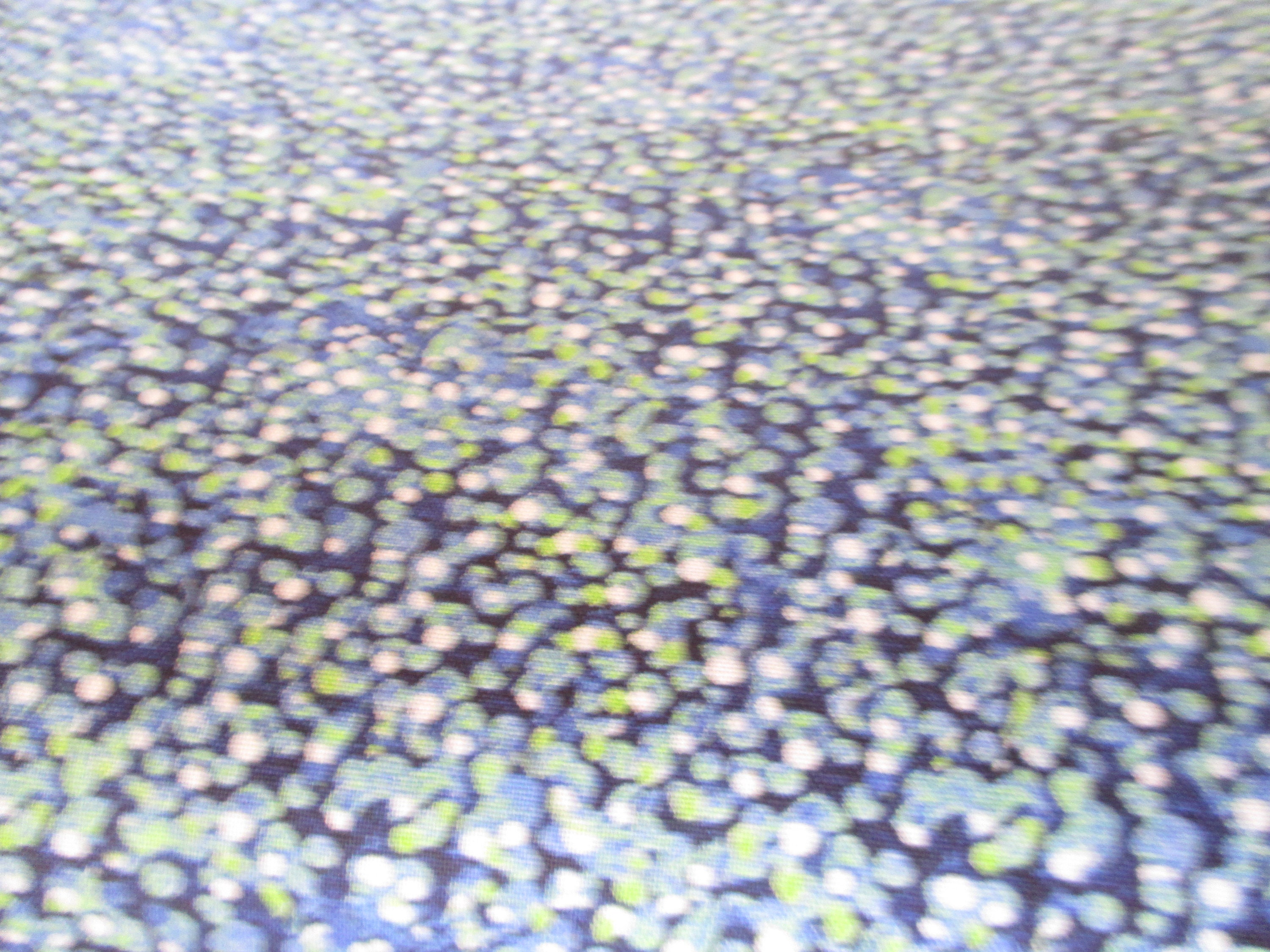 Northcott Cotton Fabric The Road Home Colorful Dots with blue and green dots half yard