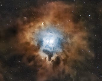 Iris Nebula Space Print, Astrophotography Wall Art