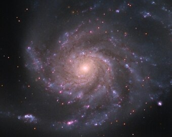 Pinwheel Galaxy Space Print, Astrophotography Wall Art