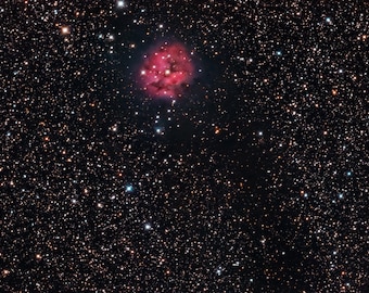 Cocoon Nebula Space Print, Astrophotography Wall Art