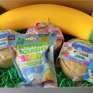 May include: A cardboard box containing a large yellow and green banana-shaped toy, two round beige containers labeled Squishy Dumpling, and a plastic pouch labeled Mystery Squishy Beans, all resting on a bed of green shredded paper filler.