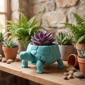 May include: A bright turquoise turtle-shaped planter featuring a detailed shell texture, holding a dark purple succulent plant. The planter stands on four legs and is positioned among several other potted plants on a wooden surface.