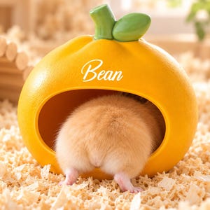 Maison personnalisée orange pour hamster, cachette en céramique personnalisée pour hamster, abri mignon en forme de fruit pour animaux de compagnie, décoration pour cage à hamster, cachette pour petits animaux