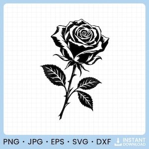 May include: A black and white graphic illustration of a single rose with a detailed bloom, a stem with thorns, and three serrated leaves. The design is presented on a grid background with the text PNG, JPG, EPS, SVG, DXF, and INSTANT DOWNLOAD.