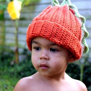 Baby/Toddler/Pumpkin Hat