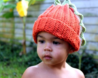 Baby/Toddler/Pumpkin Hat