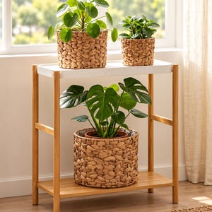 May include: A two-tier plant stand with a white top shelf and a light wood bottom shelf. Three green potted plants are displayed in woven tan seagrass baskets. The stand features four light wood legs and a simple, open frame construction.