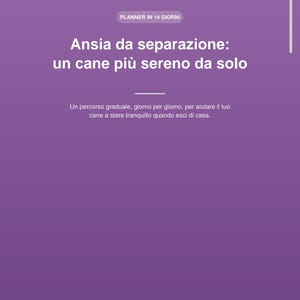 Puede incluir: Una portada de planificador digital morada titulada "Ansia da separazione: un cane più sereno da solo" con "PLANNER IN 14 GIORNI" en la parte superior. Incluye tres iconos de huellas blancas, una línea horizontal y el texto "DOGCITYLIFE - COLLANA COMPORTAMENTO".