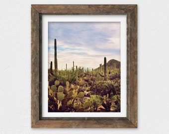 Desert Art Print Arizona Photography Desert Landscape | Etsy