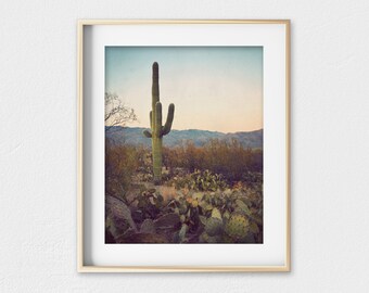 Living room wall art, Southwest artwork, cactus art, landscape art, southwestern decor, desert artwork, Arizona, home decor - Desert Dusk