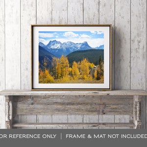 Landscape photo, nature photography, mountain landscape, Colorado, wall decor, home decor, landscape wall art Cabin's View image 6