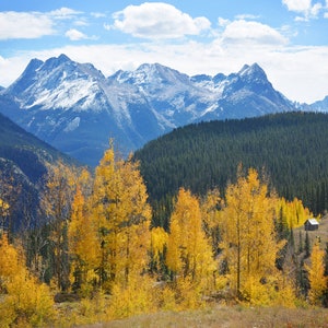 Landscape photo, nature photography, mountain landscape, Colorado, wall decor, home decor, landscape wall art Cabin's View image 2